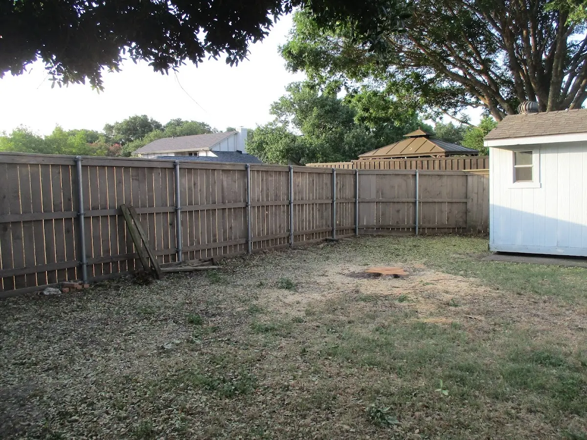 Cleared yard after professional tree removal in West Stewartstown